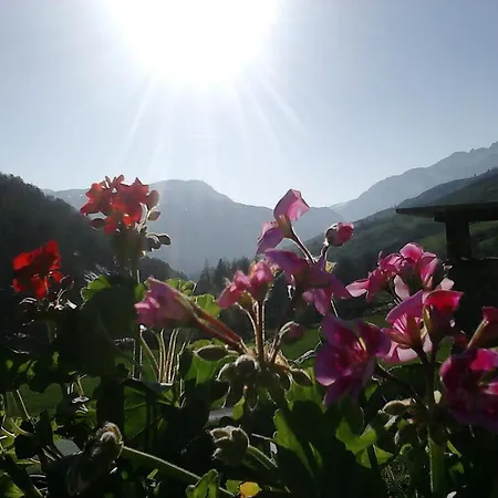 Otel Cima Del Bosco